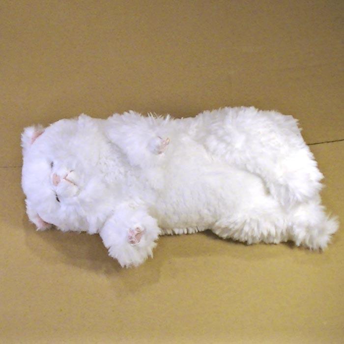 ひざねこすやすや ぬいぐるみ[M]．ペルシャ猫 2429-16 | 