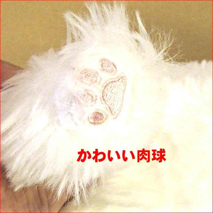 ひざねこすやすや ぬいぐるみ[M]．ペルシャ猫 2429-16 |  | 02