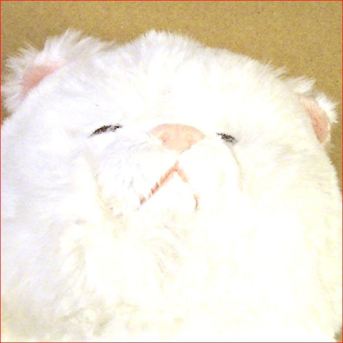 ひざねこすやすや ぬいぐるみ[M]．ペルシャ猫 2429-16 |  | 04