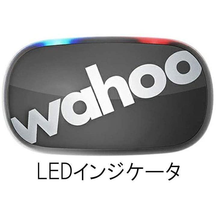 公式サイト WAHOO(ワフー) TICKR(ティッカー) WFBTHR04G [ステルスグレー] 心拍センサー(第2世代モデル) ダイブコンピュータ  - www.quantumbytestore.com