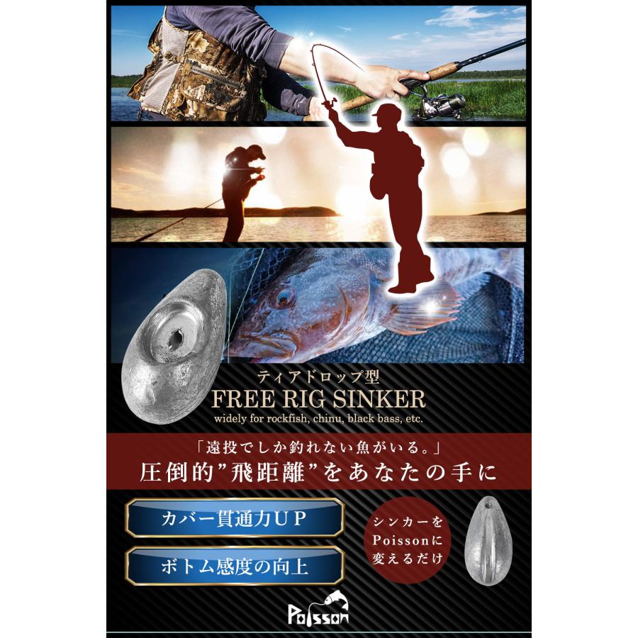 Poisson（ポアソン） 鉛 ティアドロップ型 フリーリグ フリリグ