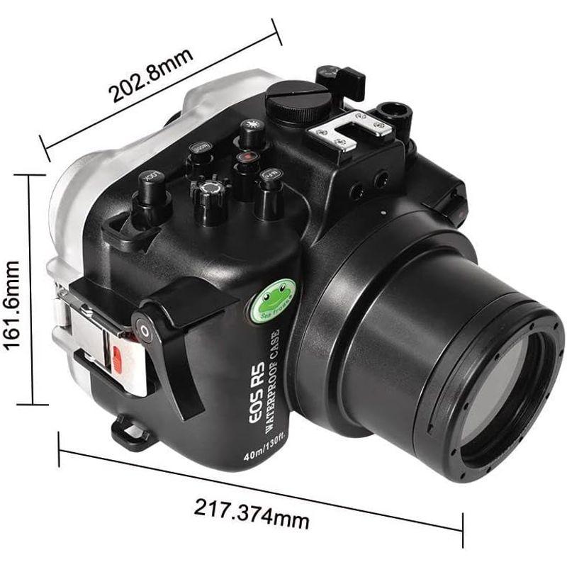 「送料無料・年末感謝」 Sea Frogs Canon EOS R5 60mm 40m/130フィート 最大潜水深 水中防水ハウジング プロフェッショナルダイビング 【YWU1482964864】(53835円)