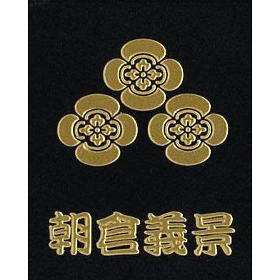 黄金武将家紋14枚セット 黄金武将家紋14枚セット 黄金武将家紋14枚セット （PRESIDENT