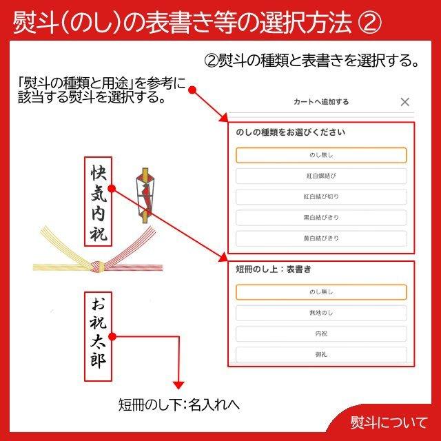 大阪名物 串カツ（5種・計25本） プレゼント ギフト 内祝 御祝 贈答用 送料無料 お歳暮 御歳暮 お中元 御中元｜tl-star｜08