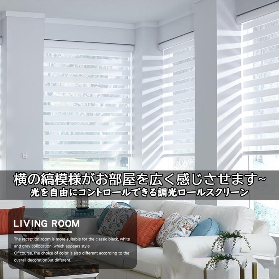 調光 ロールスクリーン ロールカーテン 0.5cm単位 オーダーメイド ブラインド 遮光率50% 採光タイプ 断熱 無地 通気 目隠し UVカット インテリア カーテン DIY |  | 13