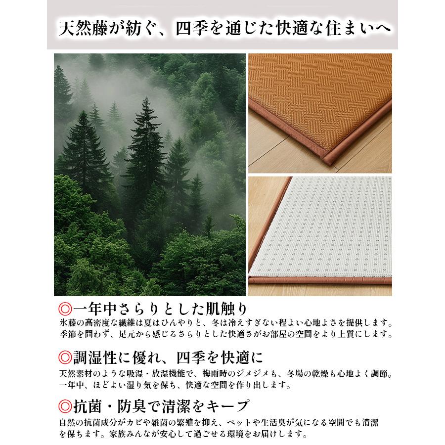 抗菌 ラグマット ラタン ナチュラル 厚手 防音 クッション 和室 低反発 滑り止め 衝撃吸収 和風 おしゃれ 子供 オールシーズン 和モダン 天然素材 リビング 寝室 |  | 07