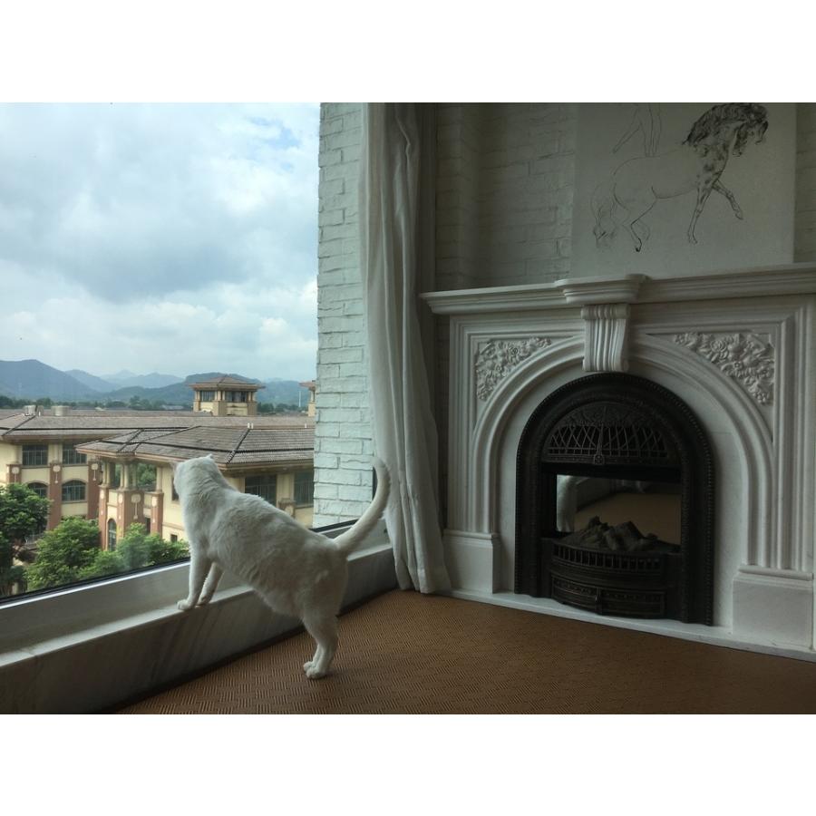 抗菌 ラグマット ラタン ナチュラル 柄 防音 クッション 和室 滑り止め 衝撃吸収 和風 おしゃれ 子供 オールシーズン 和モダン 天然素材 リビング 寝室 |  | 19