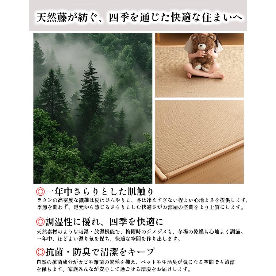 抗菌 ラグマット ラタン ナチュラル 柄 防音 クッション 和室 滑り止め 衝撃吸収 和風 おしゃれ 子供 オールシーズン 和モダン 天然素材 ベビーサークル |  | 06