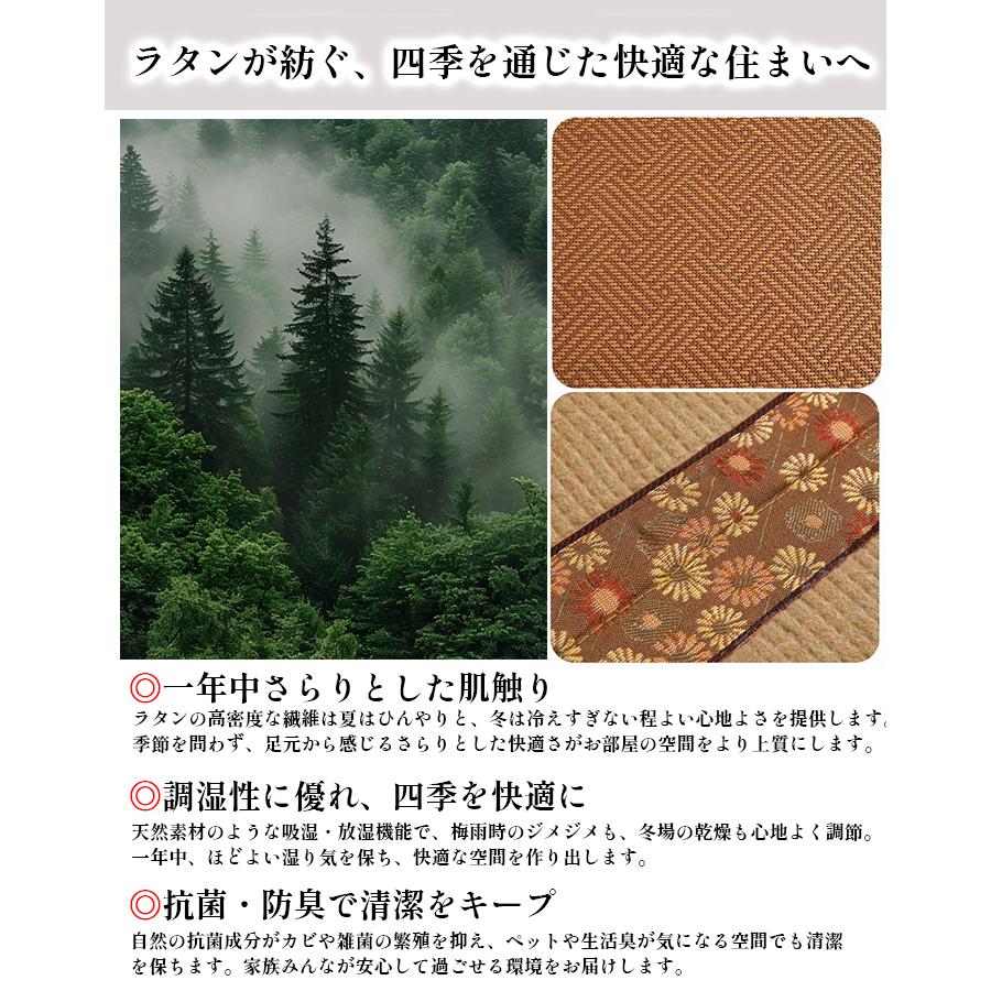 抗菌 置き畳 折りたたみ 畳マット ラタン ナチュラル  柄 防音 クッション 和室 衝撃吸収 和風 おしゃれ オールシーズン 和モダン 天然素材 ベビーサークル |  | 05