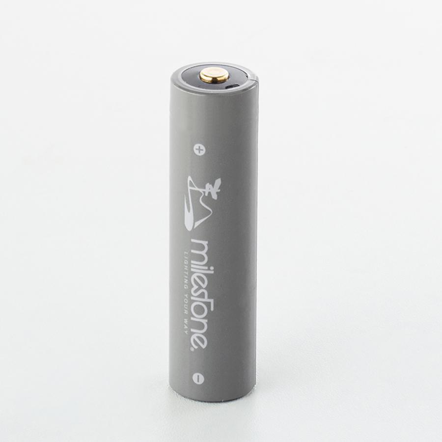 milestone｜MS-i1 Endurance Model マイルストーン エンデュランス