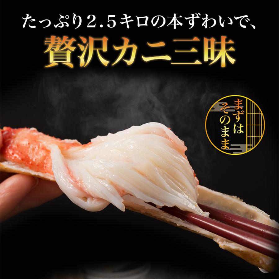 ズワイガニ 2.5kg 氷を除く重量が2.5kgです 総重量3kg超 船凍品 ズワイガニ 2.5kg 氷を除く重量が2.5kgです 総重量3kg超 船凍品