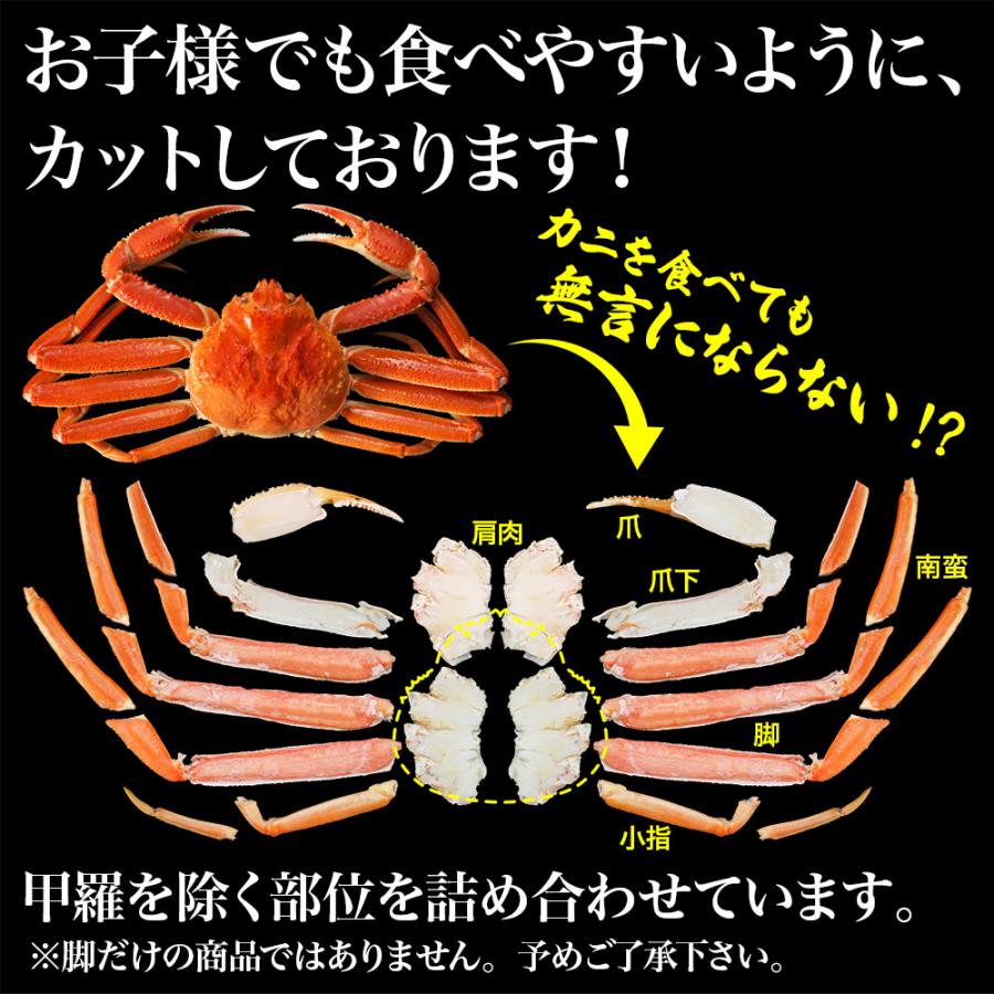 ズワイガニ ハーフポーション 800g 総重量900g ボイル 生 お歳暮 かに