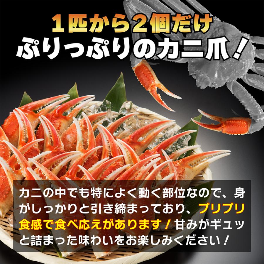 カニ爪 1kg ズワイガニ 爪 カット済み 切れ目入りなのでハサミ無しで