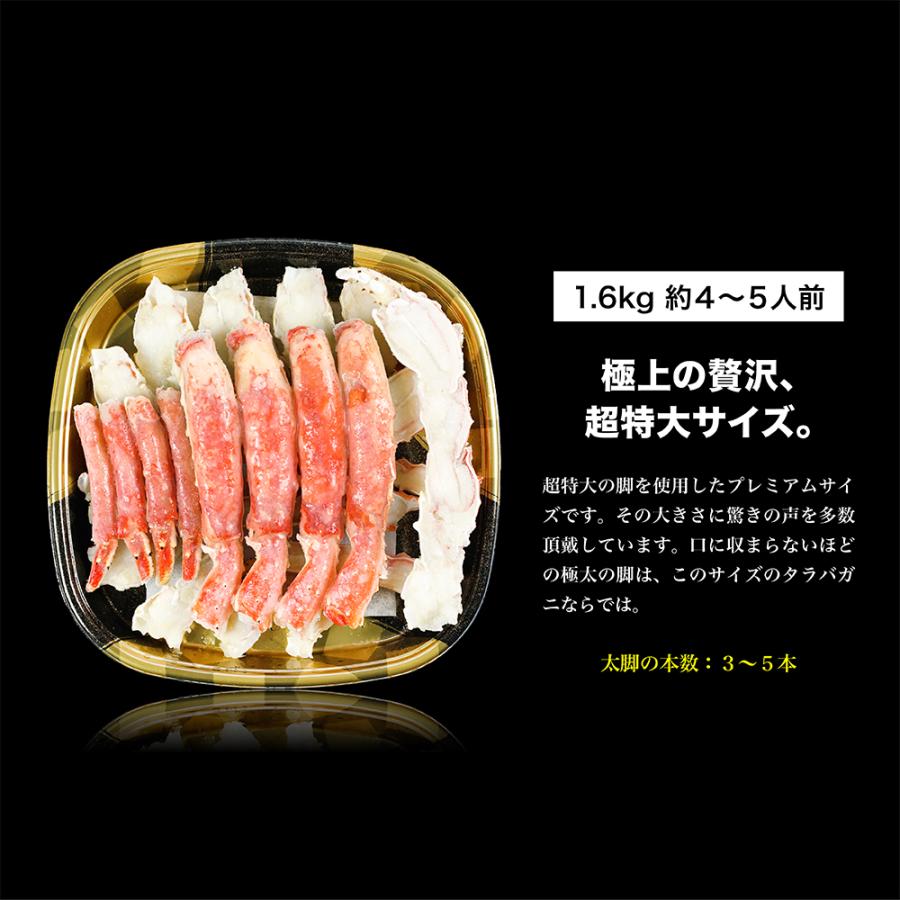 即日発送　天然　43cm 鹿児島産　加熱式タバコ　巨大ホラ貝型カバー　ワンオフ 43cm 天然 鹿児島産 加熱式タバコ 巨大ホラ貝型カバー ワンオフ