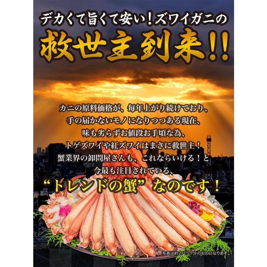ズワイガニ 訳有り ボイル ハーフポーション 実店舗では即完売の希少なトゲズワイ種 カット済み 工場直売 かに お中元 カニ とげずわい蟹 Btzhp04 Tmフーズ カニ工場 Yahoo 店 通販 Yahoo ショッピング
