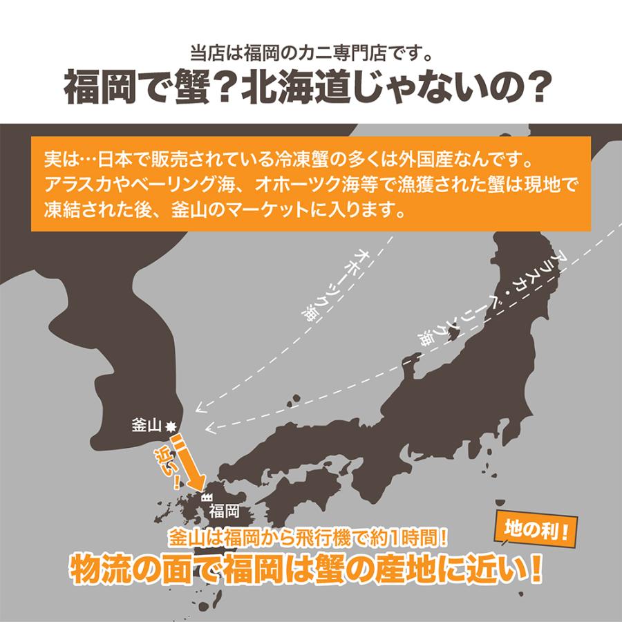 タラバとズワイ セット 2.2kg カッ ト済み ハーフポーション ズワイ