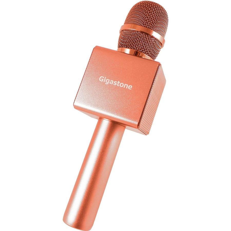 新品 カラオケ Dam For Fire カラオケマイク 推奨マイク Tv パーティー Gigastone 学校行事