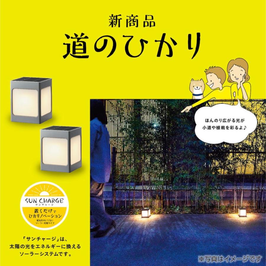 タカショー　道のひかり　ソーラーライト　ひかりノベーション　2個セット　電球色　(08)　LGS-LH01P　SUNCHARGE