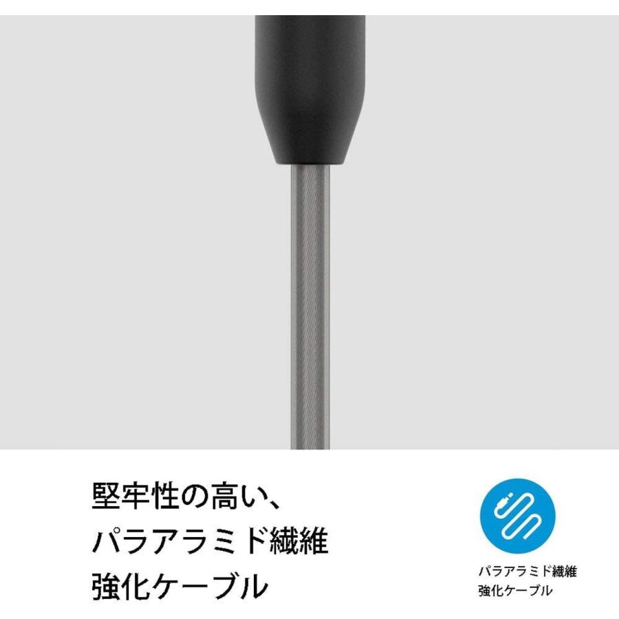 SENNHEISER IE300 有線 イヤホン ダイナミック カナル型 SENNHEISER IE300 有線 イヤホン ダイナミック カナル型