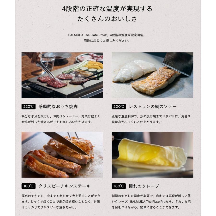 BALMUDA The Plate Pro K10A バルミューダ ザ・プレート プロ ホット 