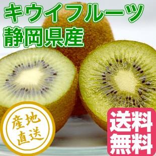 キウイ ヘイワード フルーツ fruits 静岡県産 送料無料 Sサイズ 家庭用5kg箱 70〜80個入り｜tms4