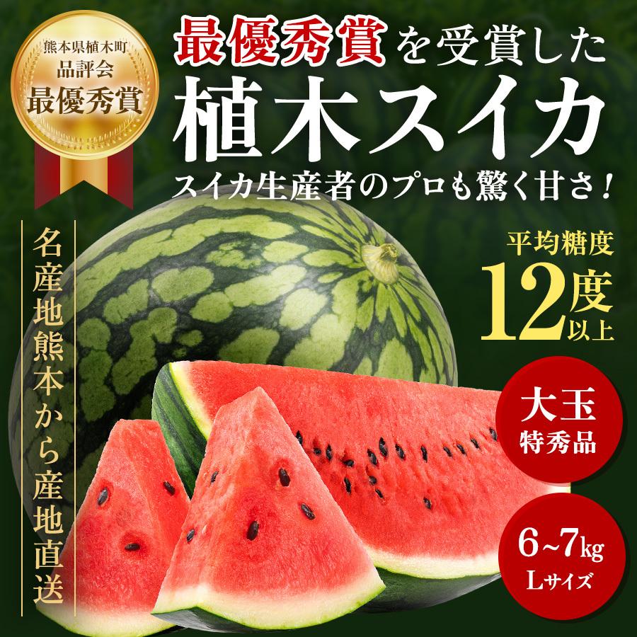 最優秀賞受賞 植木スイカ Lサイズ 6〜7kg 1玉 熊本県植木産 特秀 大玉  送料無料 フルーツ 父の日 ギフト｜tms4