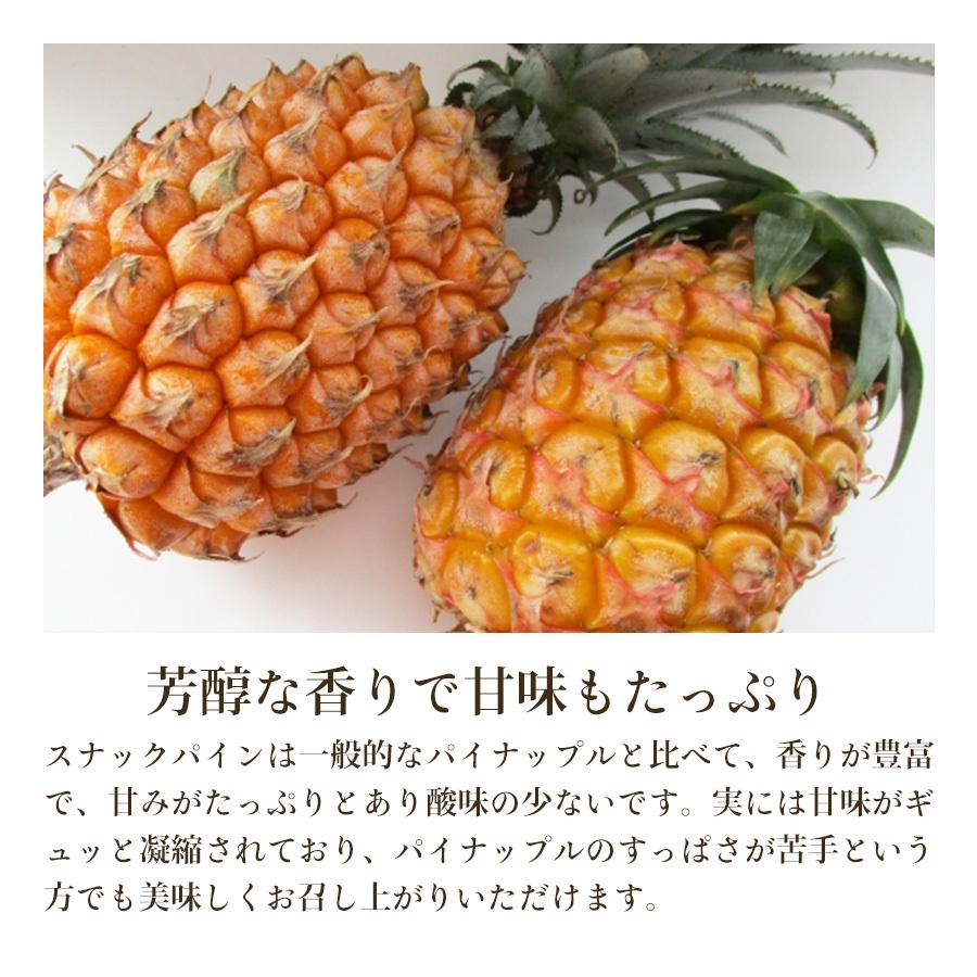 スナックパイン パイナップル Lサイズ ２玉 沖縄県石垣島産 秀品 送料無料 産地直送 御中元