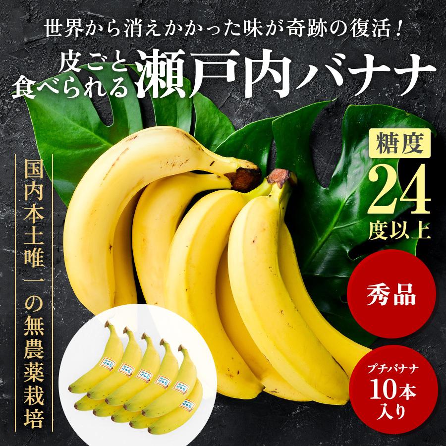 本田あつみ フルーツシリーズバナナ 本田あつみ フルーツシリーズバナナ