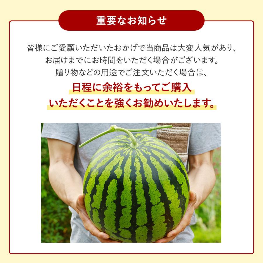 スイカ フルーツ 県知事賞受賞 大玉スイカ Mサイズ5〜6kg 味きらら 1玉 千葉県富里産 産地直送 送料無料 御中元 ギフト 果物｜tms4｜07