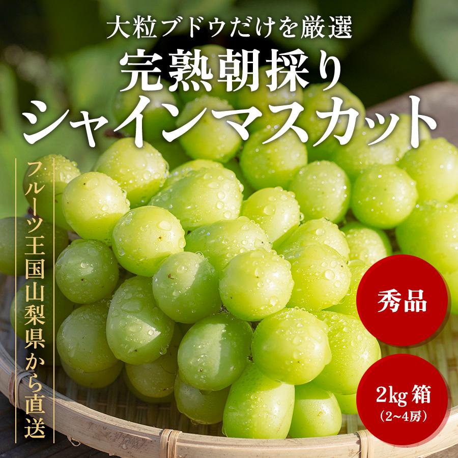 お値下げ 山梨 大粒シャインマスカット 秀品   通販