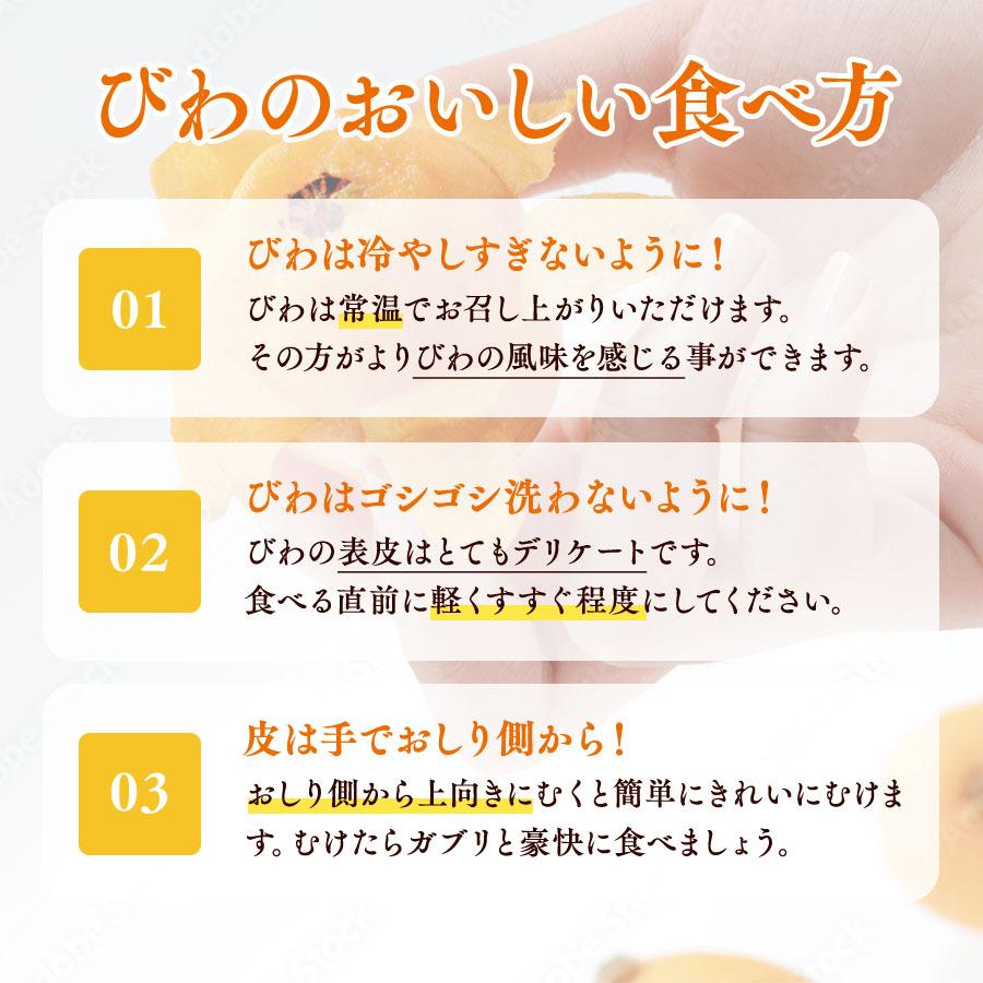 びわ 房州びわ L~2Lサイズ 12〜15粒 化粧箱入り 皇室献上の実績 千葉県南房総産 父の日 ギフト｜tms4｜05