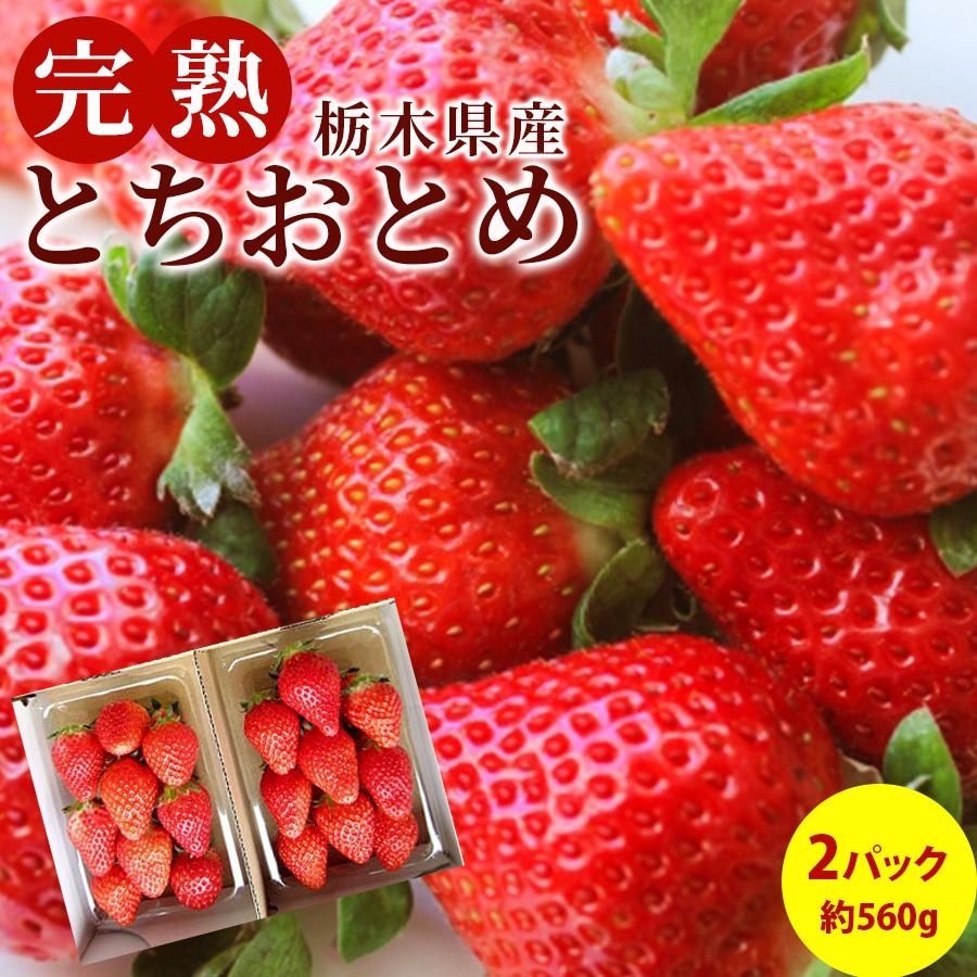 いちご とちおとめ 完熟 フルーツ fruits 栃木県真岡産 送料無料 2パック入り 1パック約280g×2 : iyn001-001 :  モノックショップFRUITS - 通販 - Yahoo!ショッピング