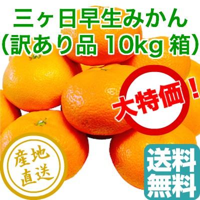 訳あり みかん フルーツ Fruits 早生 三ヶ日みかん 家庭用10kg箱 静岡県三ヶ日産 産地直送 送料無料｜tms4