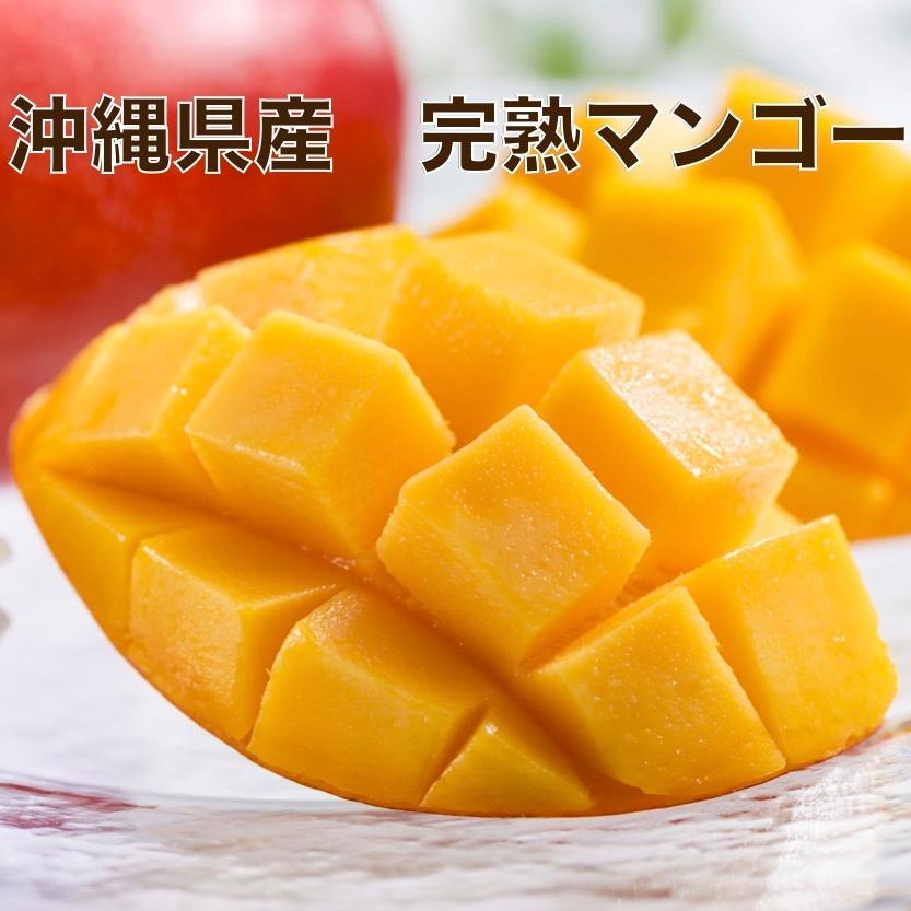 マンゴー フルーツ 完熟 沖縄マンゴー 秀品 1.8kg以上 4〜7玉 化粧箱入り 産地直送 送料無料 果物 お中元 ギフト
