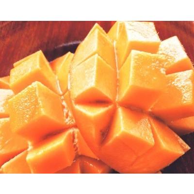 マンゴー フルーツ 完熟 沖縄マンゴー 秀品 1.8kg以上 4〜7玉 化粧箱入り 産地直送 送料無料 果物 お中元 ギフト 商品到着後