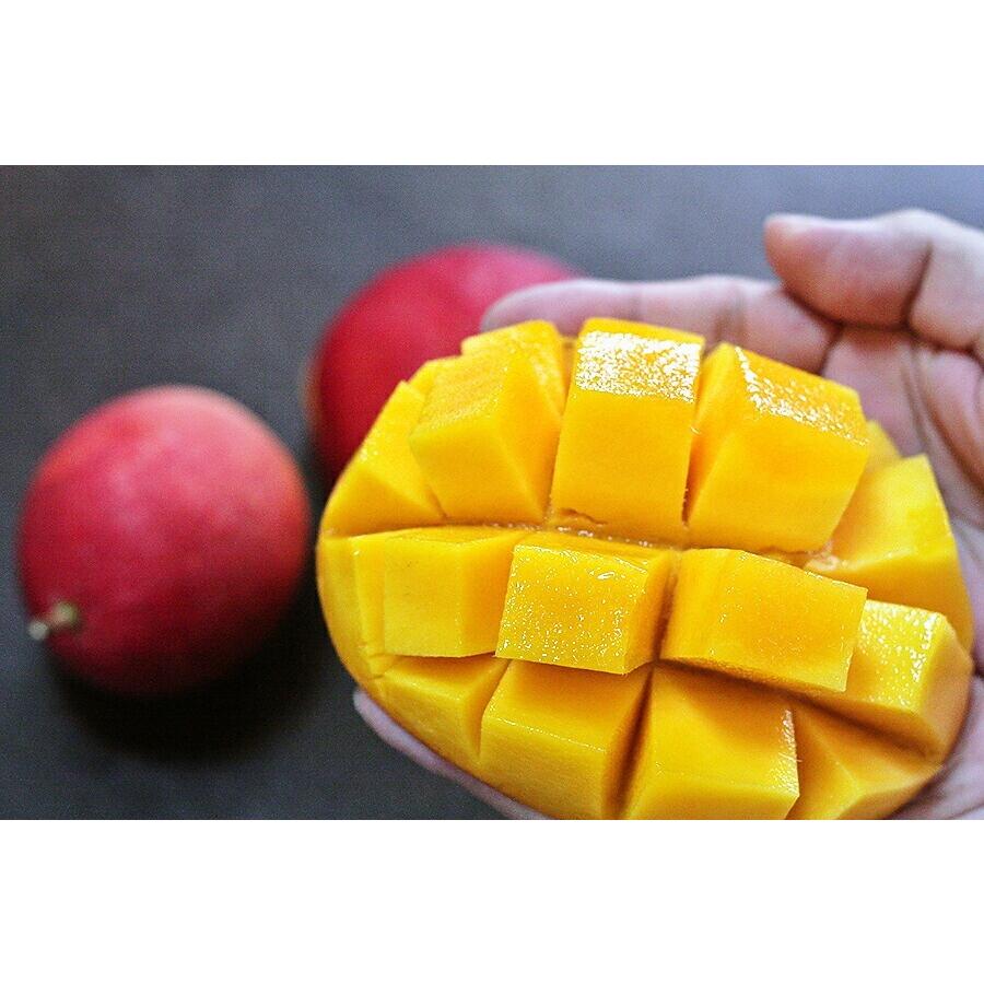 マンゴー フルーツ 完熟 沖縄マンゴー 秀品 1.8kg以上 4〜7玉 化粧箱入り 産地直送 送料無料 果物 お中元 ギフト 商品到着後