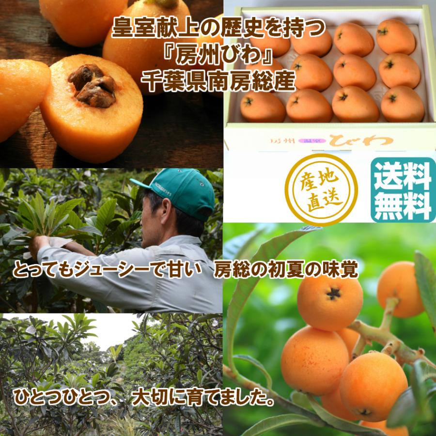 送料無料 シリカゲル 細粒 1kg ハンドメイド ドライフラワー用 乾燥剤