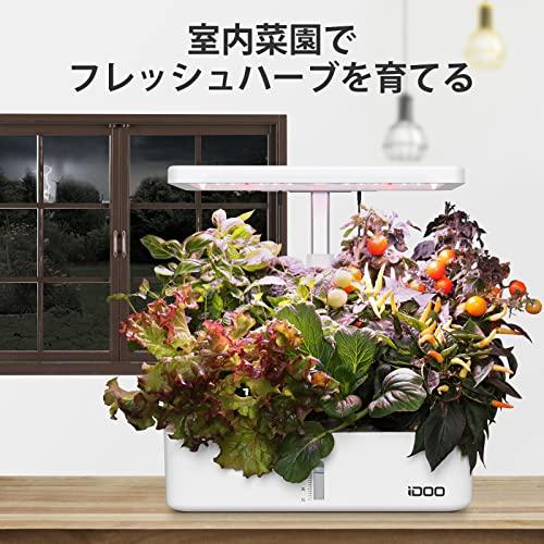 iDOO 水耕栽培キット 水耕栽培 セット 室内 植物育成LEDライト付き すいこう栽培キット 育苗キット 育成 おしゃれ 家庭菜園 野菜栽培セット｜tmshop2020｜05