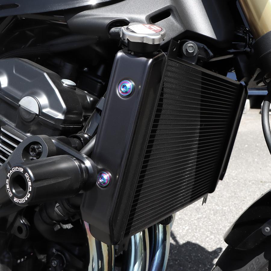AGRS RS ラジエーター　サイドカバー チタンカラー　新品 TECHーMASTER（テックマスター） TECH-MASTER Z900RS / CAFE 64チタン