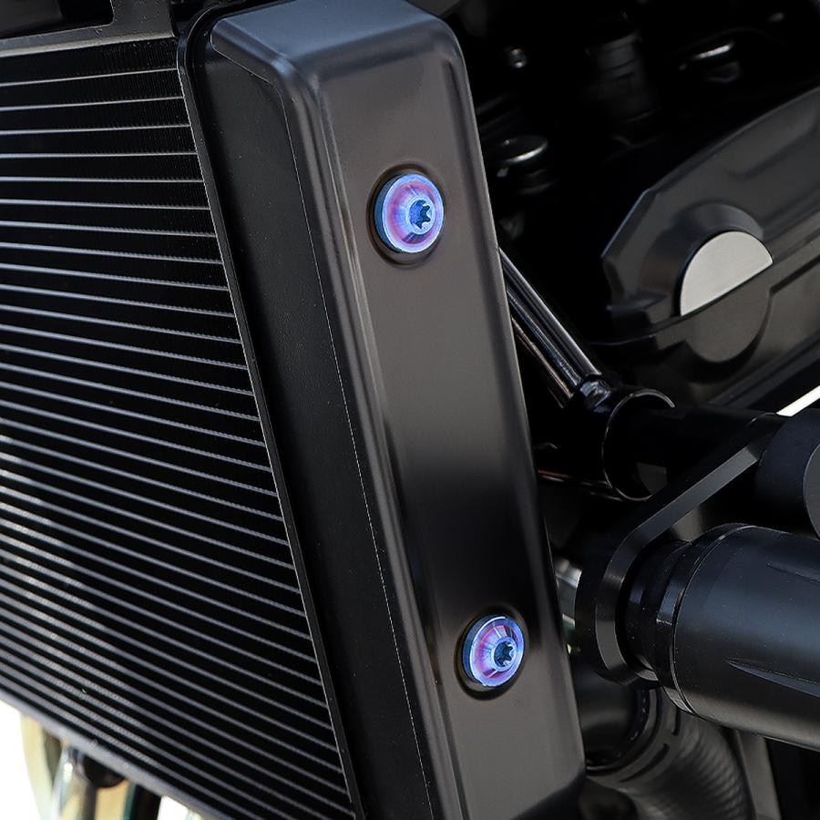 カワサキ TECH-MASTER (テックマスター) Z900RS / CAFE 64チタン