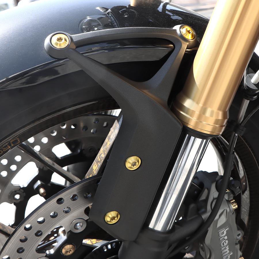TECH-MASTER (テックマスター) Z900RS / CAFE 64チタン フェンダーアーム用ボルト 8本セット ゴールド BS0010 | TECHーMASTER | 01