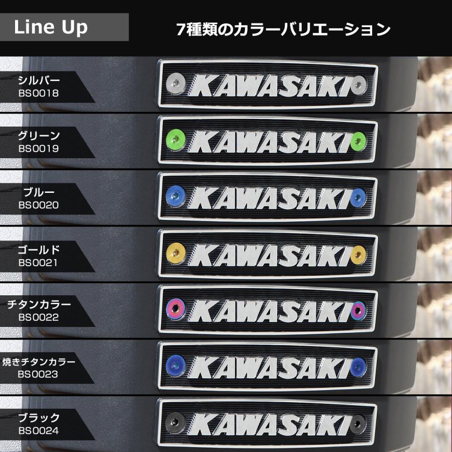 TECHーMASTER TECH-MASTER (テックマスター) Z900RS / CAFE 64チタン