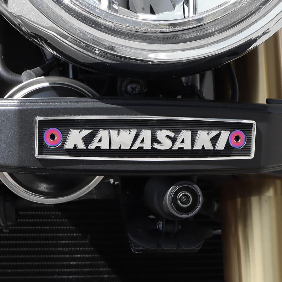 TECH-MASTER (テックマスター) Z900RS / CAFE 64チタン ドレミ フォークカバー用ボルト 2本セット チタンカラー BS0022 | TECHーMASTER