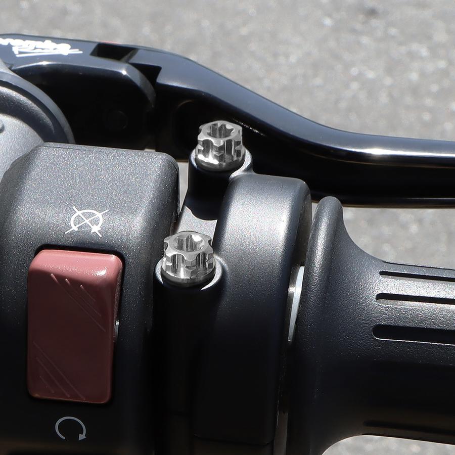 TECH-MASTER (テックマスター) Z900RS / CAFE 64チタン スロットルケース用ボルト ヘキサゴンヘッド 2本セット シルバー BS0029 | TECHーMASTER