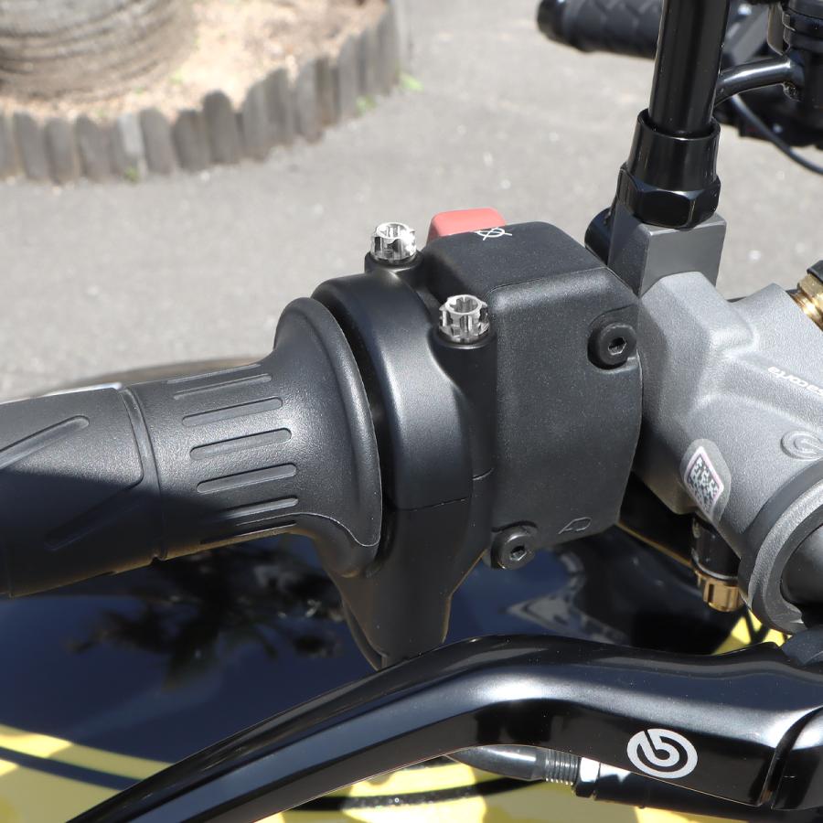 TECH-MASTER (テックマスター) Z900RS / CAFE 64チタン スロットルケース用ボルト ヘキサゴンヘッド 2本セット シルバー BS0029 | TECHーMASTER | 01