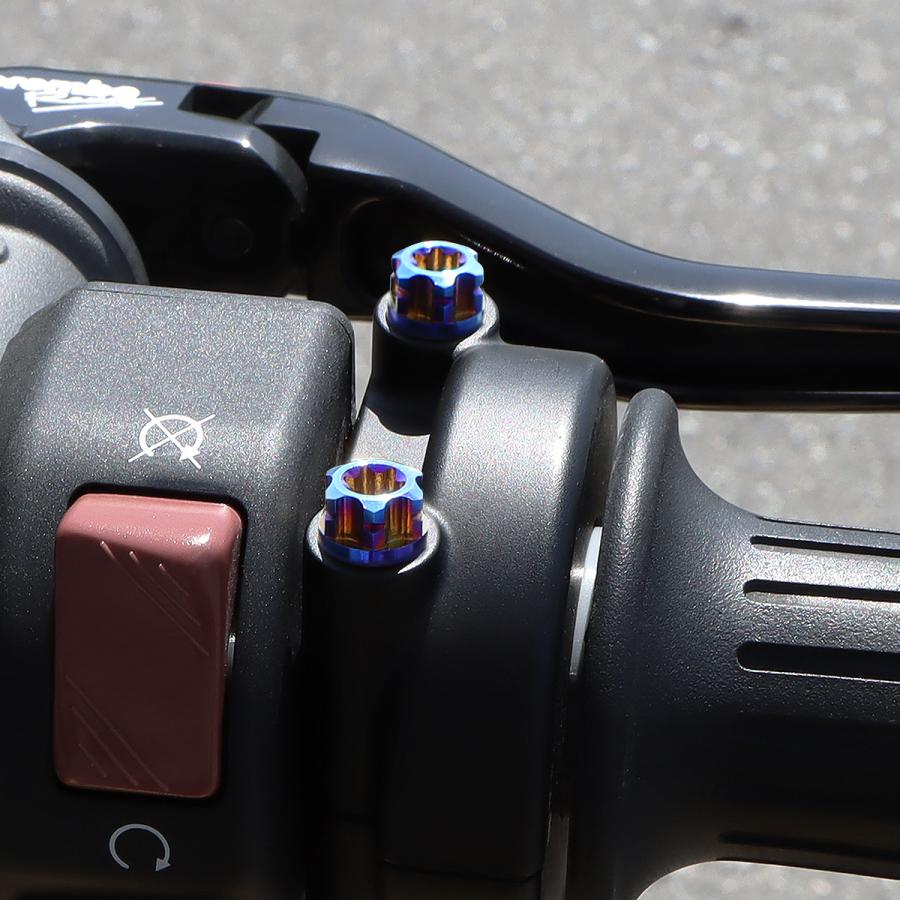 TECH-MASTER (テックマスター) Z900RS / CAFE 64チタン スロットルケース用ボルト ヘキサゴンヘッド 2本セット 焼きチタンカラー BS0031 | TECHーMASTER