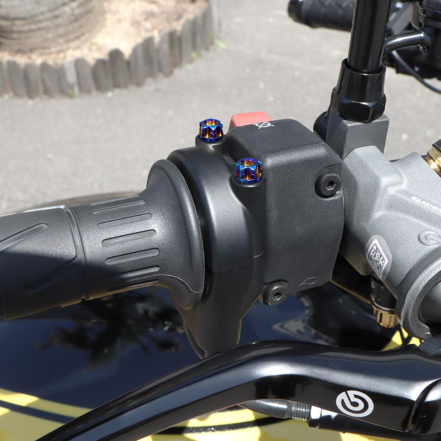 TECH-MASTER (テックマスター) Z900RS / CAFE 64チタン スロットルケース用ボルト ヘキサゴンヘッド 2本セット 焼きチタンカラー BS0031 | TECHーMASTER | 01