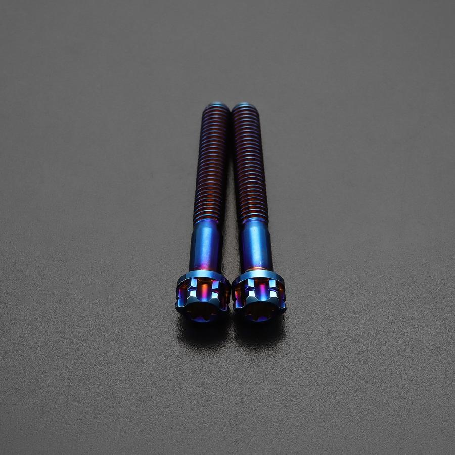 TECH-MASTER (テックマスター) Z900RS / CAFE 64チタン スロットルケース用ボルト ヘキサゴンヘッド 2本セット 焼きチタンカラー BS0031 | TECHーMASTER | 02