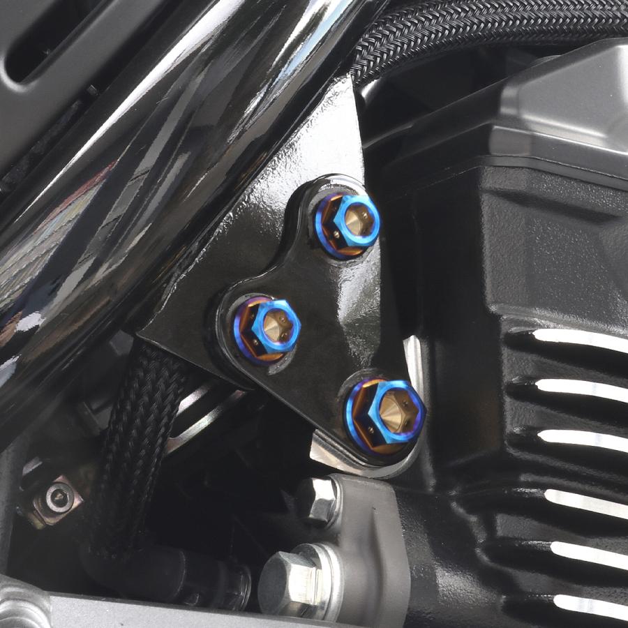TECH-MASTER (テックマスター) Z900RS / CAFE 64チタン エンジンヘッドマウント用ボルト 6本セット 焼きチタンカラー BS0035 | TECHーMASTER | 01