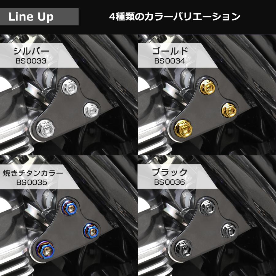 TECH-MASTER (テックマスター) Z900RS / CAFE 64チタン エンジンヘッドマウント用ボルト 6本セット 焼きチタンカラー BS0035 | TECHーMASTER | 04